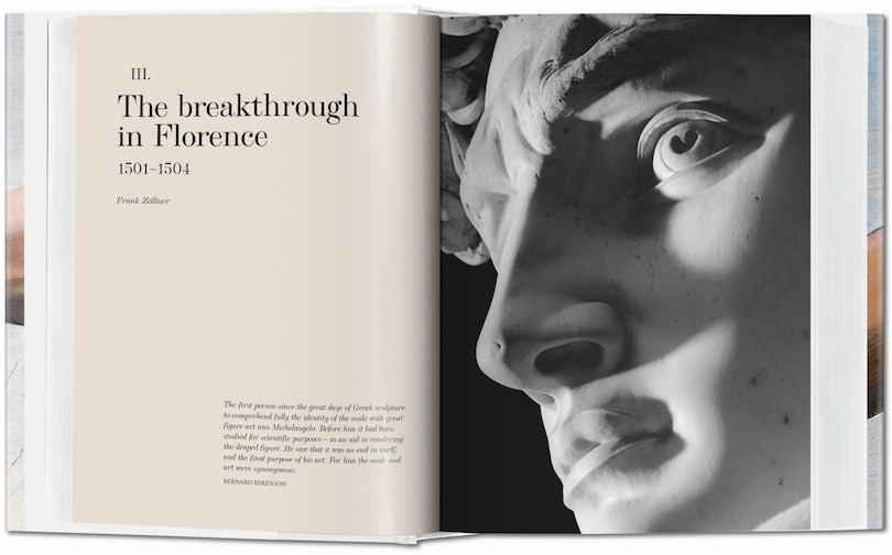Aperçu du contenu 5_Michelangelo: The Complete Paintings, Sculptures And Architecture