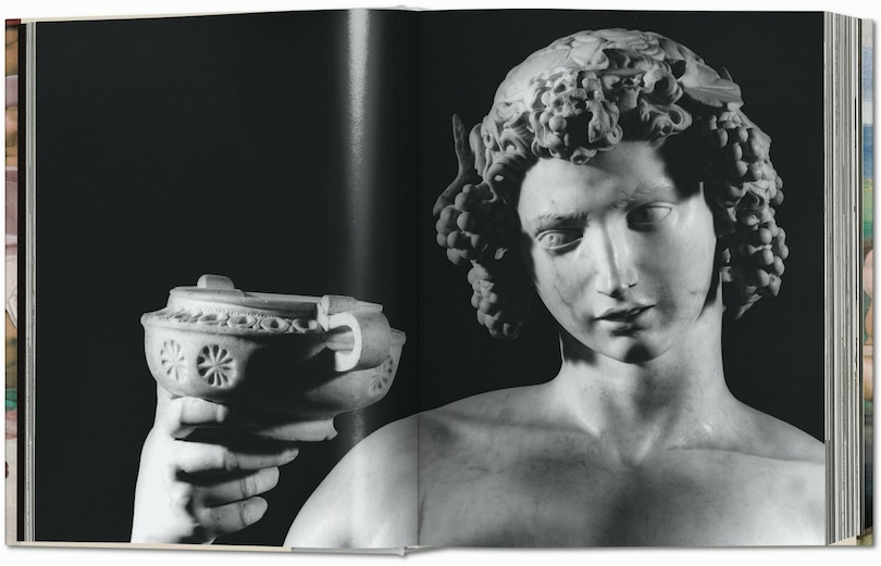 Sample content 5_Michelangelo. The Complete Works. Paintings, Sculptures, Architecture