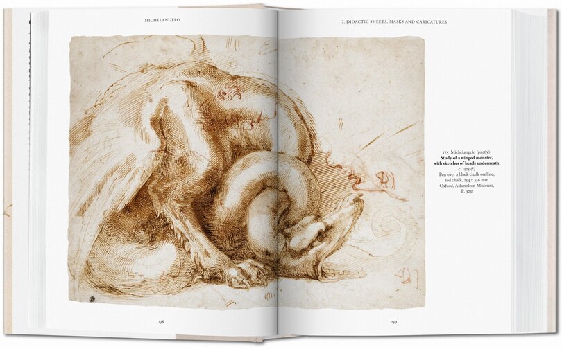 Sample content 2_Michelangelo. The Graphic Work