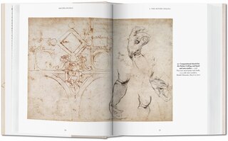 Sample content 3_Michelangelo. The Graphic Work