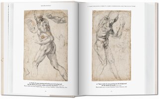 Sample content 4_Michelangelo. The Graphic Work