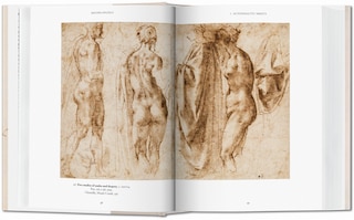 Sample content 5_Michelangelo. The Graphic Work