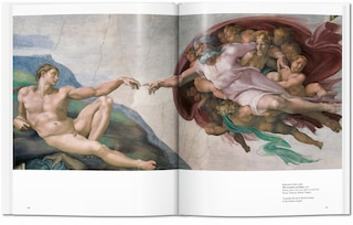 Aperçu du contenu 2_Michelangelo