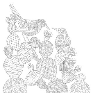 Sample content 2_Millie Marotta's Animal Adventures