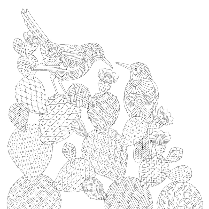 Sample content 2_Millie Marotta's Animal Adventures