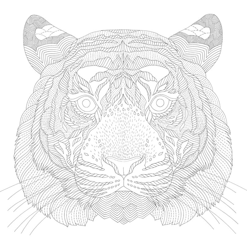 Sample content 4_Millie Marotta's Animal Adventures