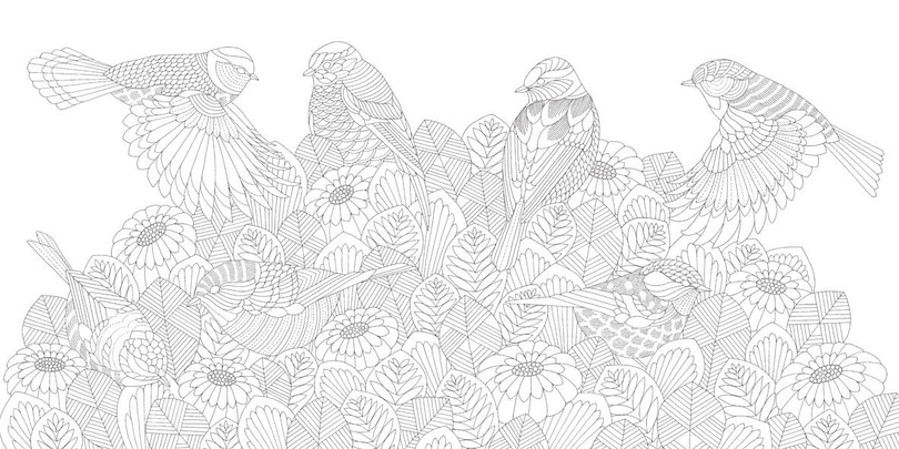 Sample content 2_Millie Marotta's Beautiful Birds And Treetop Treasures: Mini Edition