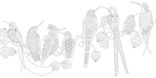 Sample content 3_Millie Marotta's Beautiful Birds And Treetop Treasures: Mini Edition