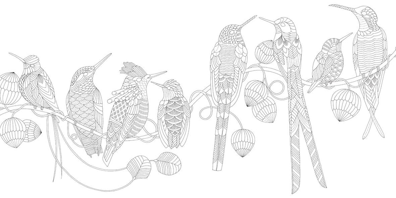 Sample content 3_Millie Marotta's Beautiful Birds And Treetop Treasures: Mini Edition