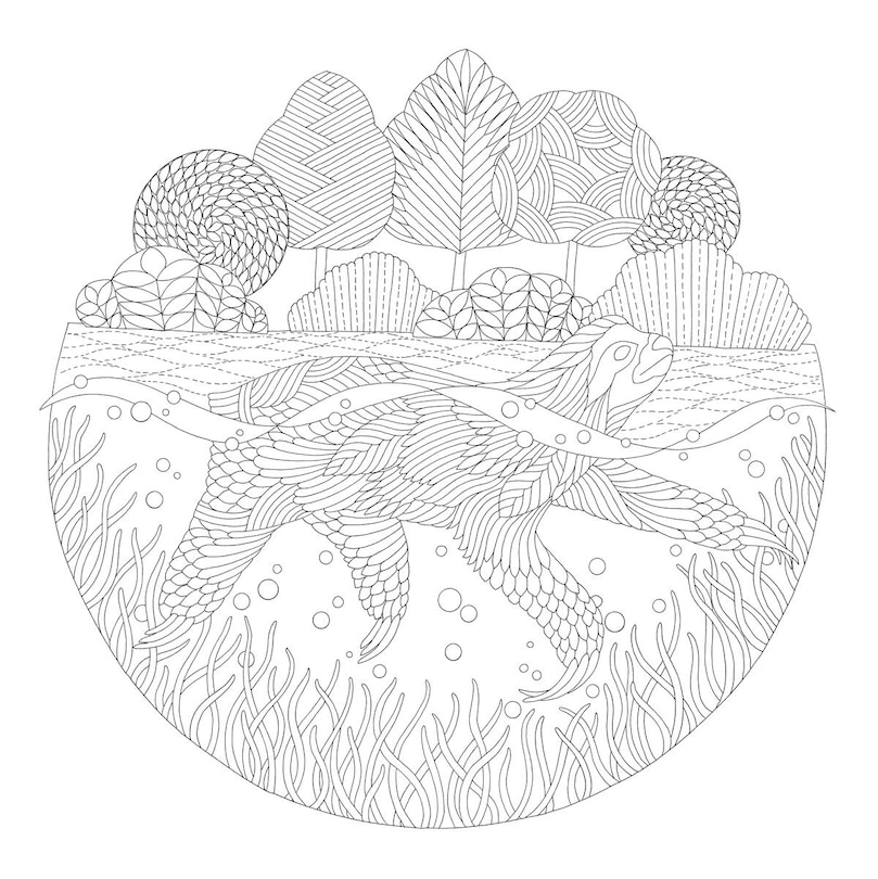 Aperçu du contenu_Millie Marotta's Island Escape