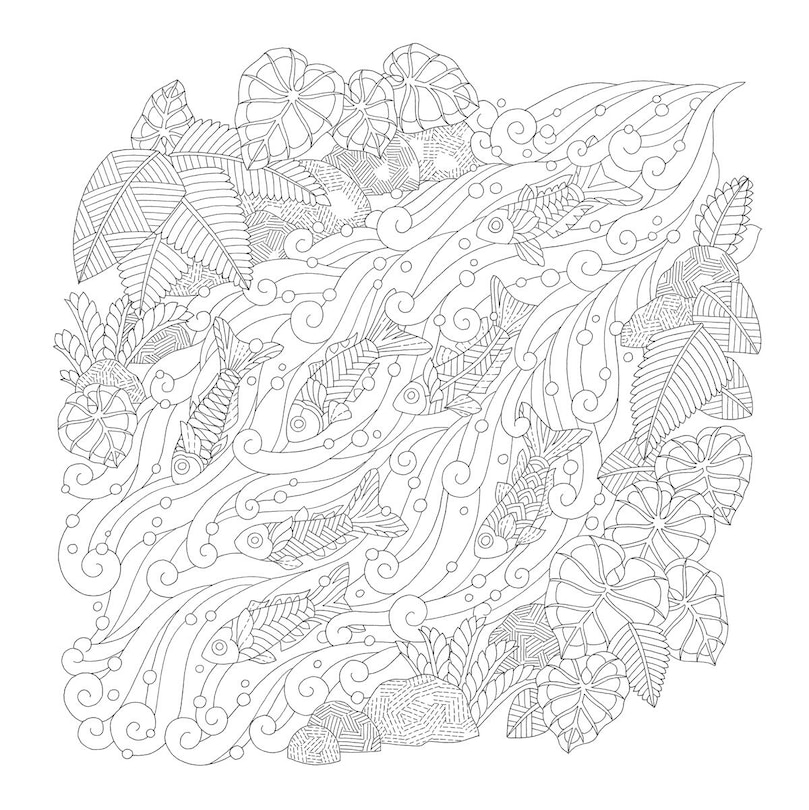 Aperçu du contenu 2_Millie Marotta's Island Escape