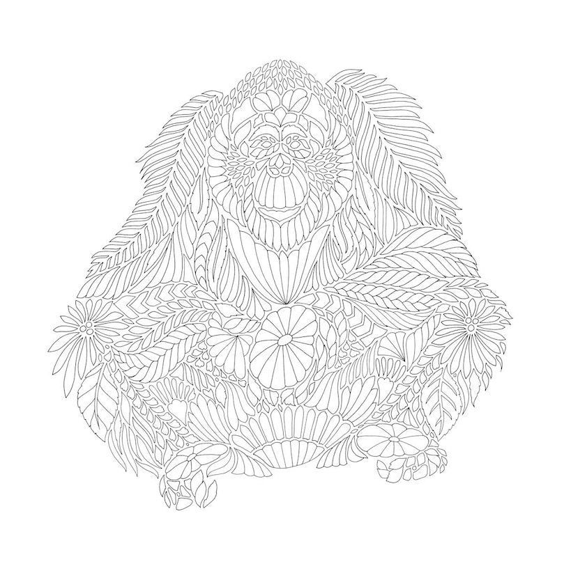 Aperçu du contenu 3_Millie Marotta's Island Escape