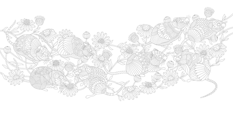 Aperçu du contenu 5_Millie Marotta's Island Escape