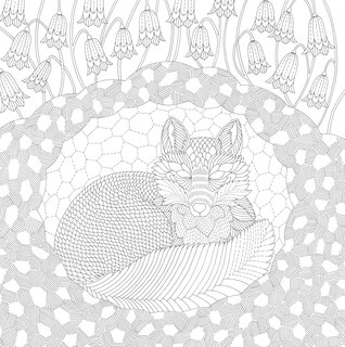 Sample content 2_Millie Marotta's Woodland Wild