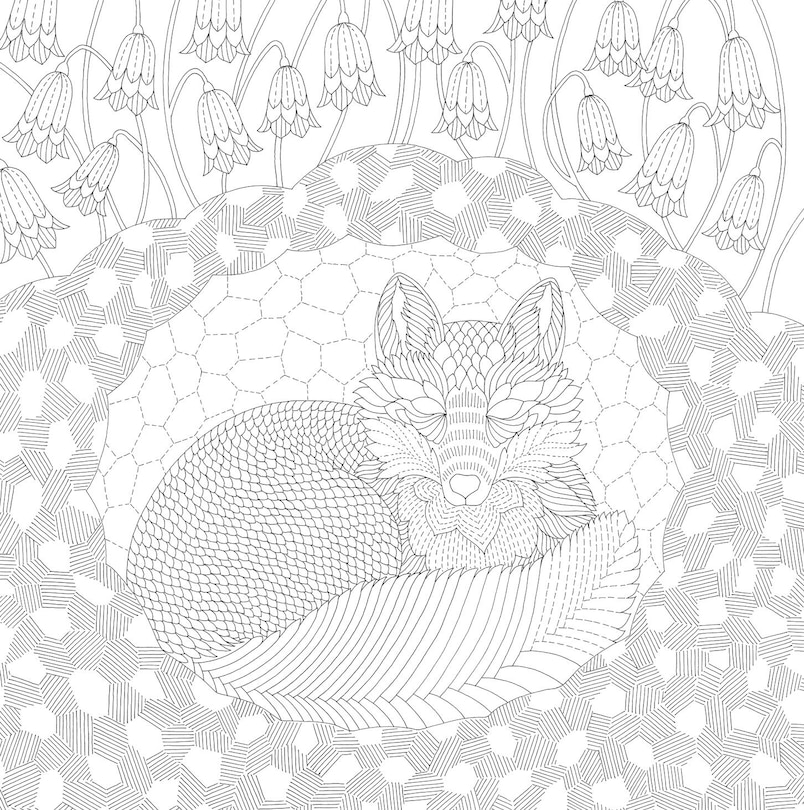 Sample content 2_Millie Marotta's Woodland Wild