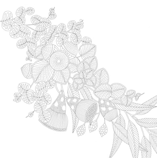 Sample content 4_Millie Marotta's Woodland Wild