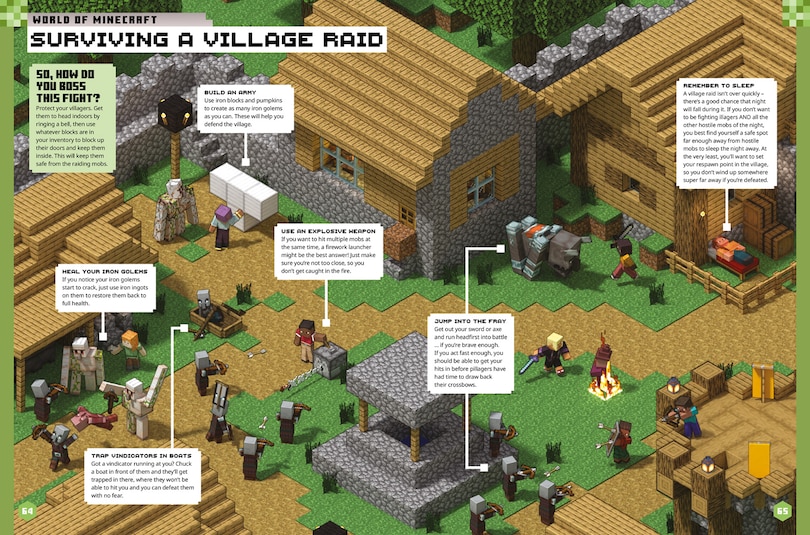 Aperçu du contenu_Minecraft Annual 2025