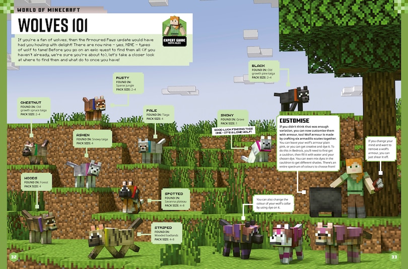 Sample content 2_Minecraft Annual 2026