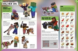 Sample content 3_Minecraft Annual 2026