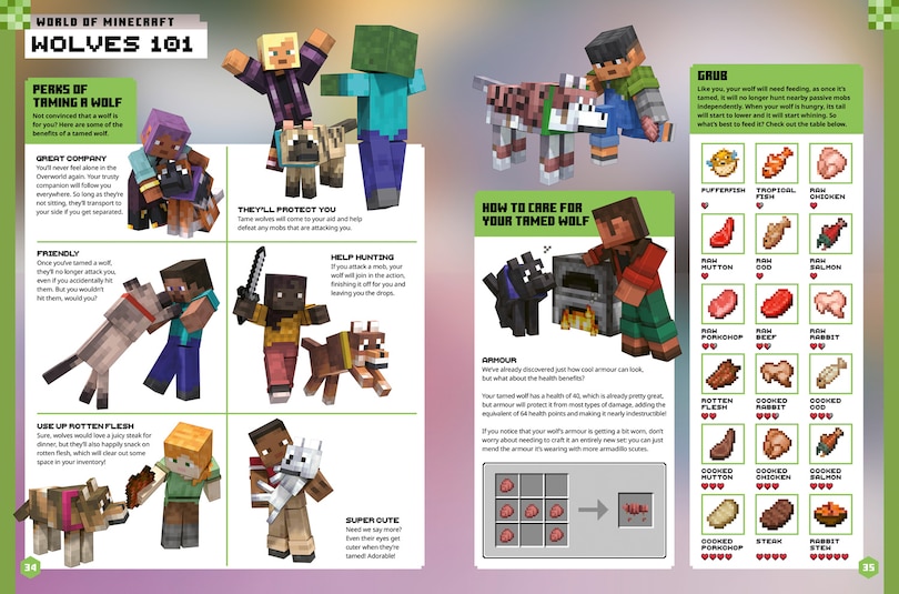 Sample content 3_Minecraft Annual 2026