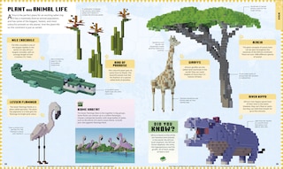 Sample content 3_Minecraft Atlas of the World