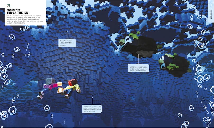 Aperçu du contenu 4_Minecraft Atlas of the World