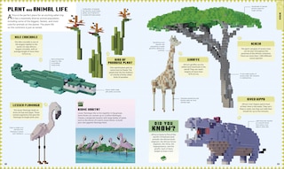 Aperçu du contenu 5_Minecraft Atlas of the World