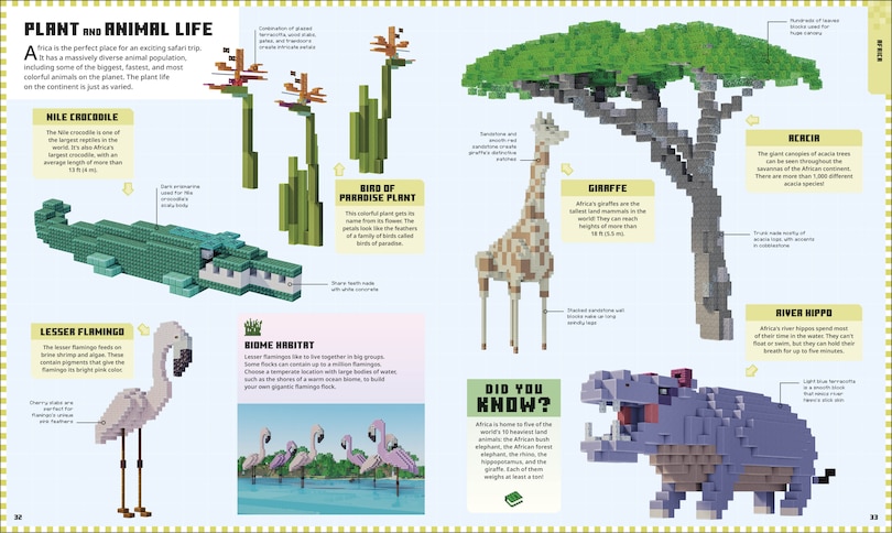 Aperçu du contenu 5_Minecraft Atlas of the World