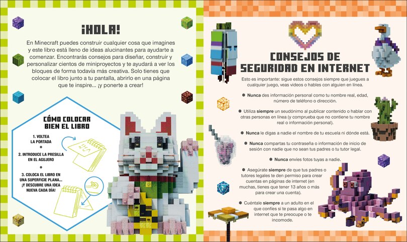 Aper&ccedil;u du contenu 2_Minecraft Cada d&iacute;a una idea (Idea a Day)