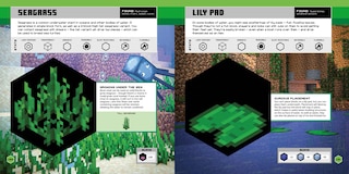 Sample content 2_Minecraft Official Blocks Guide