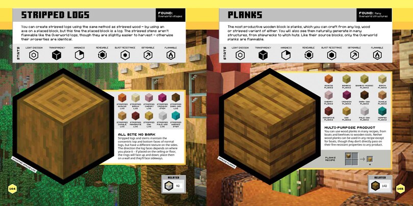 Aper&ccedil;u du contenu 3_Minecraft Official Blocks Guide