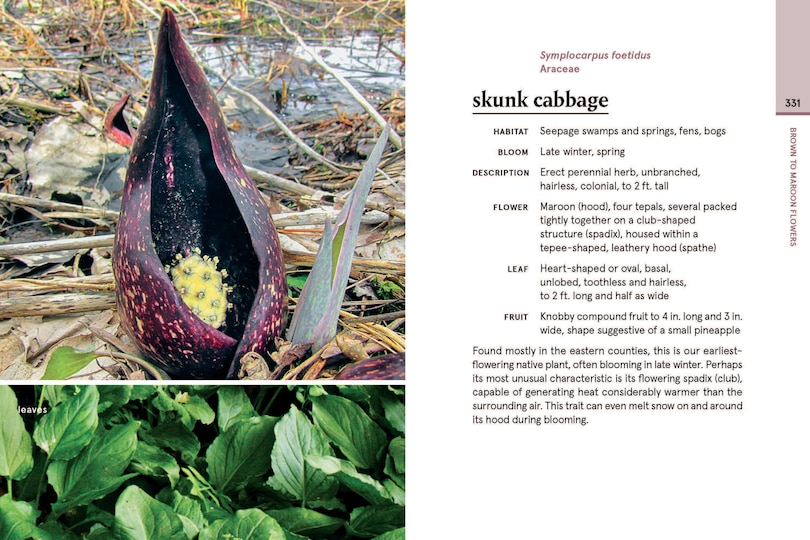 Aper&ccedil;u du contenu_Minnesota in Bloom