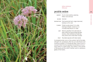 Aper&ccedil;u du contenu 2_Minnesota in Bloom