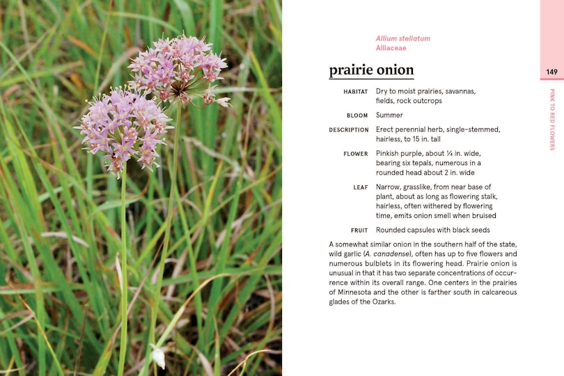 Aper&ccedil;u du contenu 2_Minnesota in Bloom