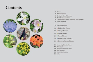 Aper&ccedil;u du contenu 5_Minnesota in Bloom