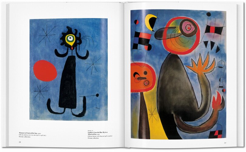 Aper&ccedil;u du contenu_Mir&oacute;