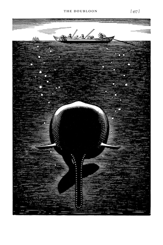 Aper&ccedil;u du contenu 3_Moby-Dick