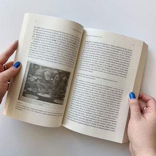 Aperçu du contenu 2_Modern Chinese Foodways