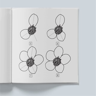 Sample content 2_Modern Flowers: How to Draw Books for Kids with Flowers, Plants, and Botanicals