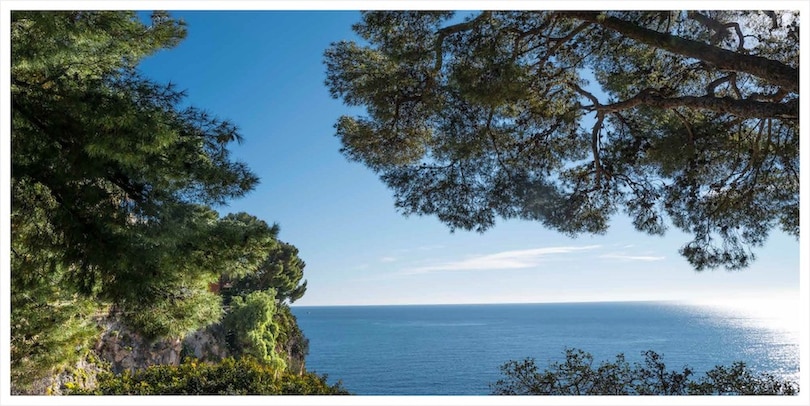 Aper&ccedil;u du contenu 2_Monaco Puts on the Green