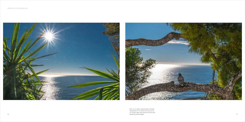 Aper&ccedil;u du contenu 4_Monaco Puts on the Green