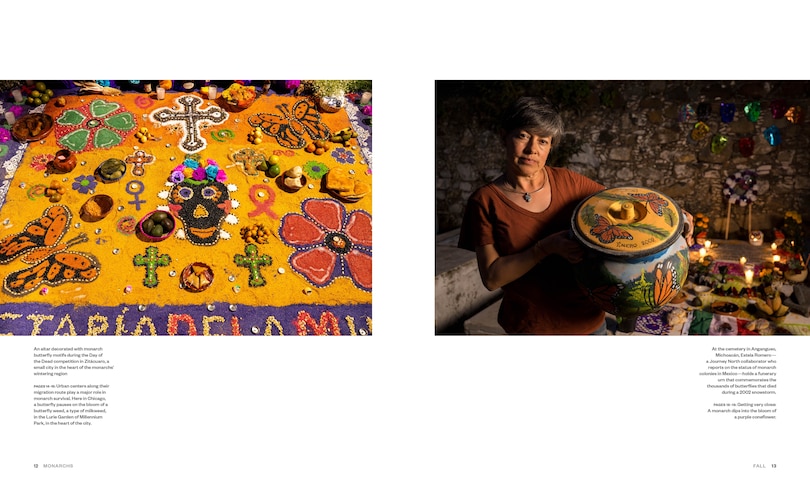 Sample content 4_Monarchs