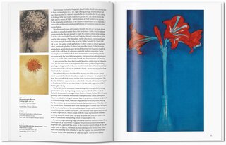 Aper&ccedil;u du contenu 4_Mondrian