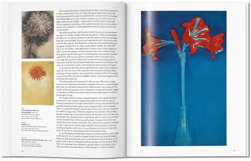 Aper&ccedil;u du contenu 4_Mondrian