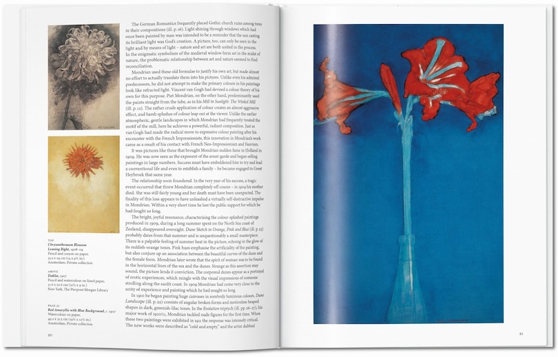 Aper&ccedil;u du contenu 4_Mondrian