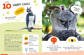 Sample content 2_Most Lethal Animals