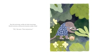 Sample content 4_Muriel and the Mystery