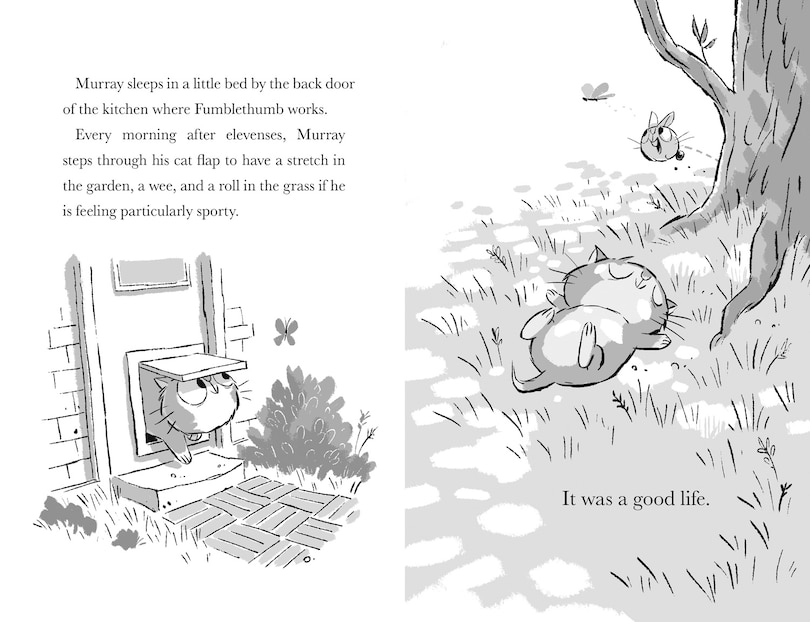 Sample content 4_Murray and Bun