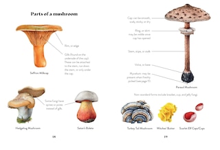 Sample content 3_Mushroom Miscellany