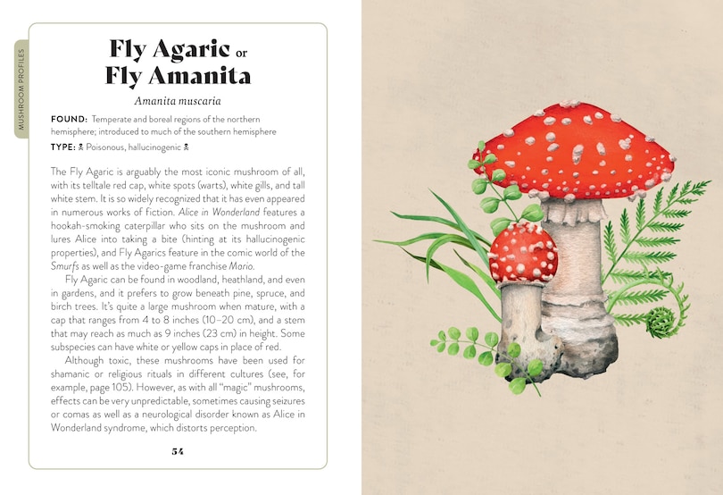 Sample content 4_Mushroom Miscellany